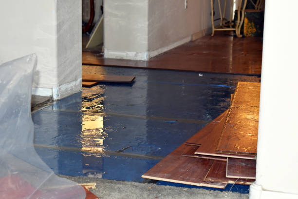 Professional Water Damage Restoration technician working in Middleton, WI